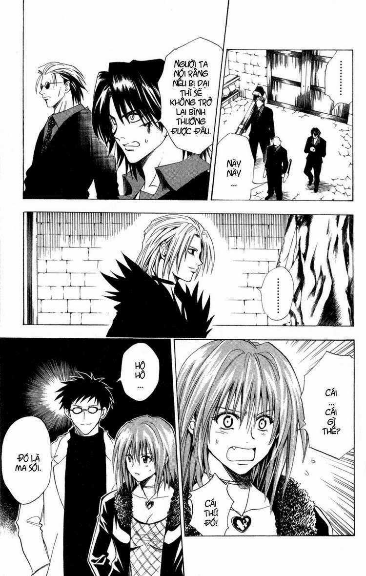 Sát Thủ Mèo Đen - Chapter 77 - Trang 9