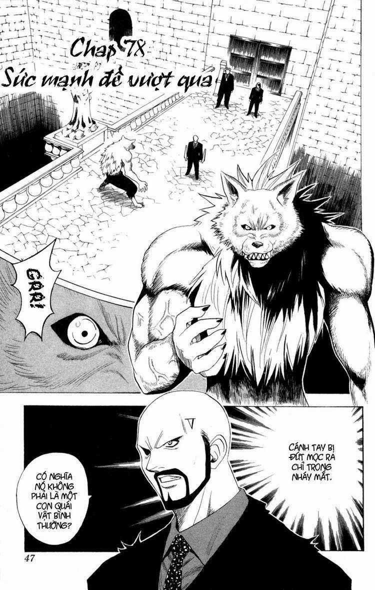 Sát Thủ Mèo Đen - Chapter 78 - Trang 3