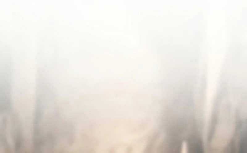 Sát Thủ Thiên Tài Đơn Độc - Chapter 46 - Trang 39