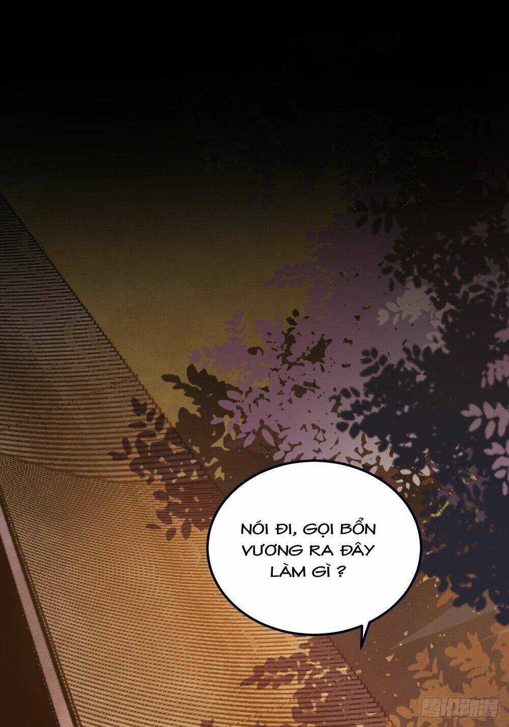 Sát Thủ Vương Phi Không Dễ Chọc - Chapter 12.5 - Trang 11