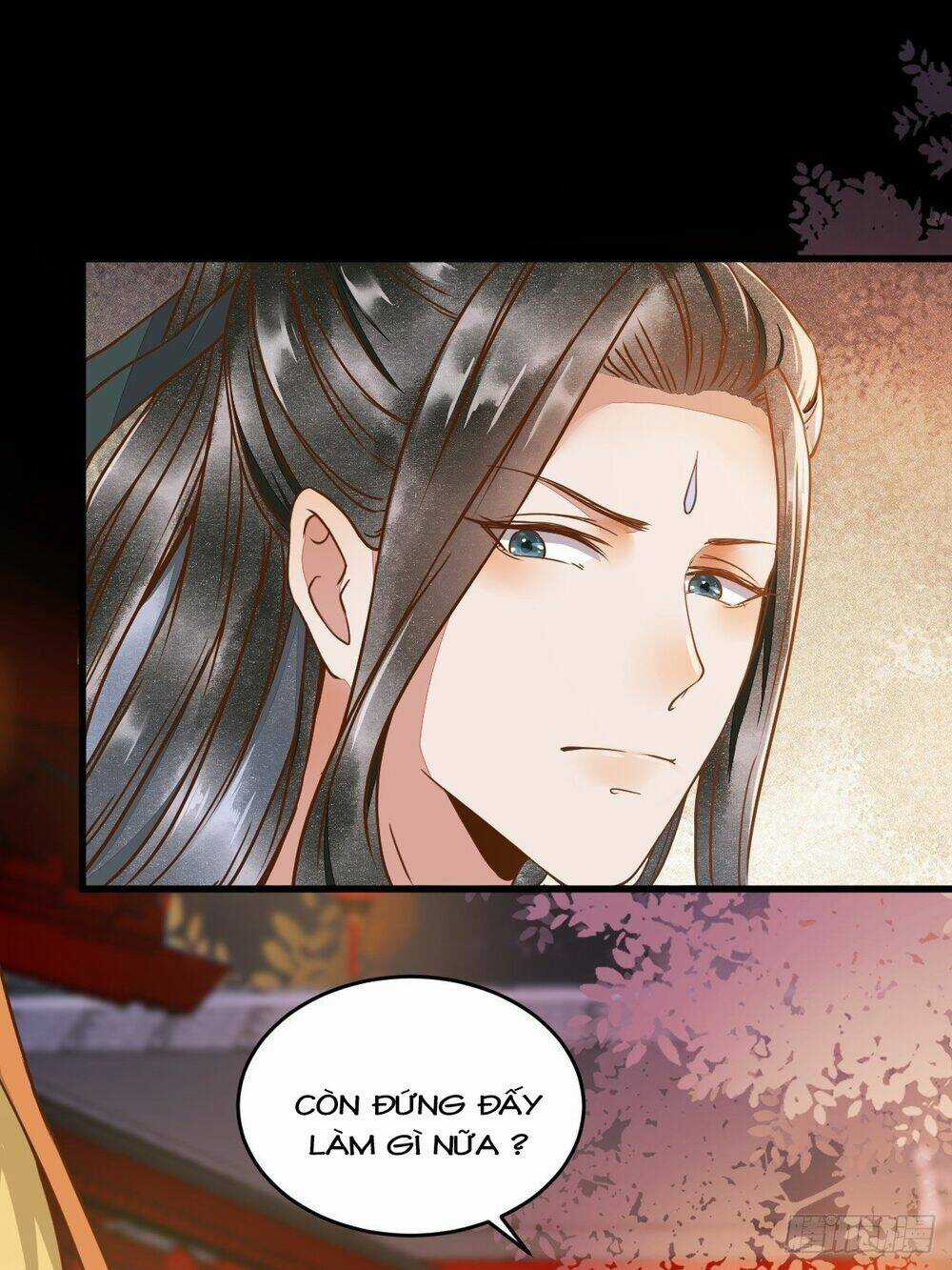 Sát Thủ Vương Phi Không Dễ Chọc - Chapter 12.5 - Trang 5