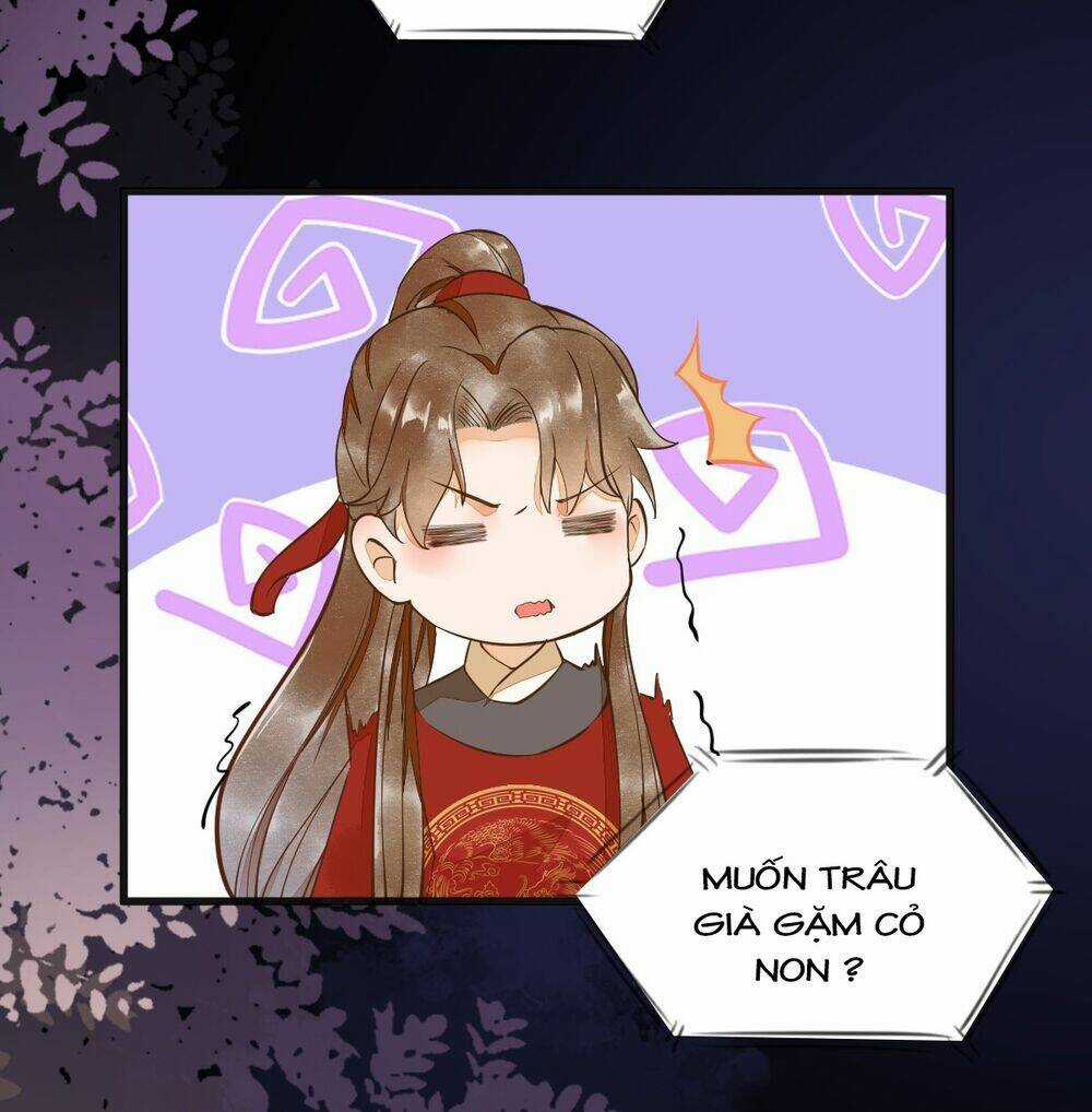 Sát Thủ Vương Phi Không Dễ Chọc - Chapter 12 - Trang 7