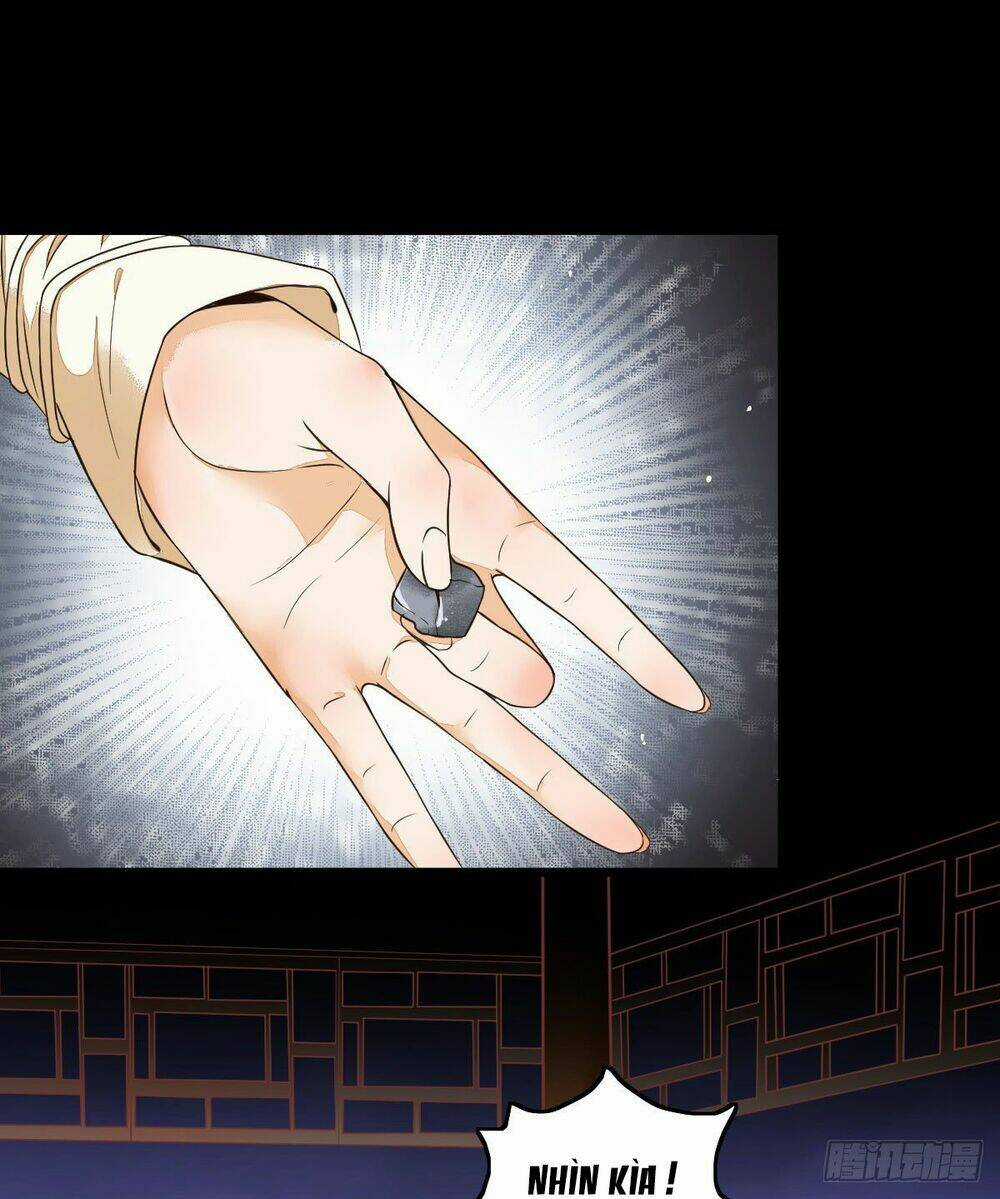 Sát Thủ Vương Phi Không Dễ Chọc - Chapter 13.5 - Trang 12