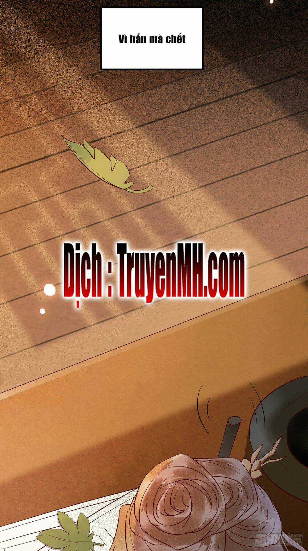 Sát Thủ Vương Phi Không Dễ Chọc - Chapter 17.5 - Trang 25