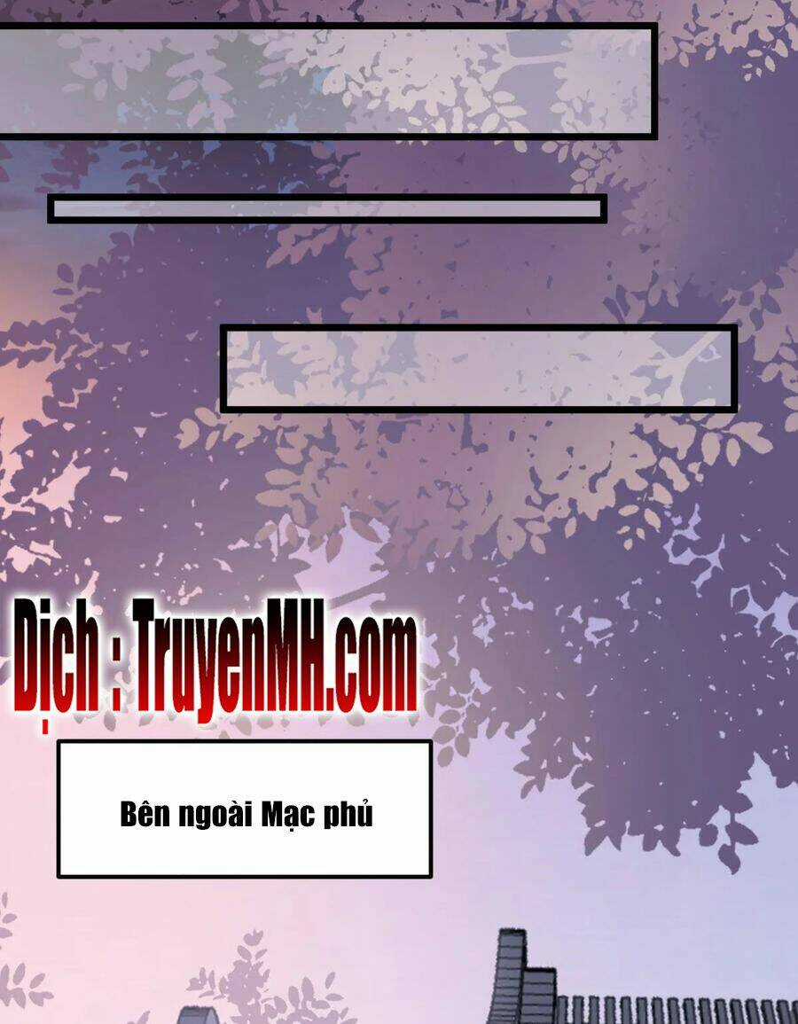 Sát Thủ Vương Phi Không Dễ Chọc - Chapter 18.5 - Trang 19