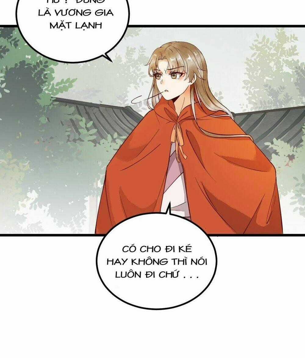 Sát Thủ Vương Phi Không Dễ Chọc - Chapter 18 - Trang 17