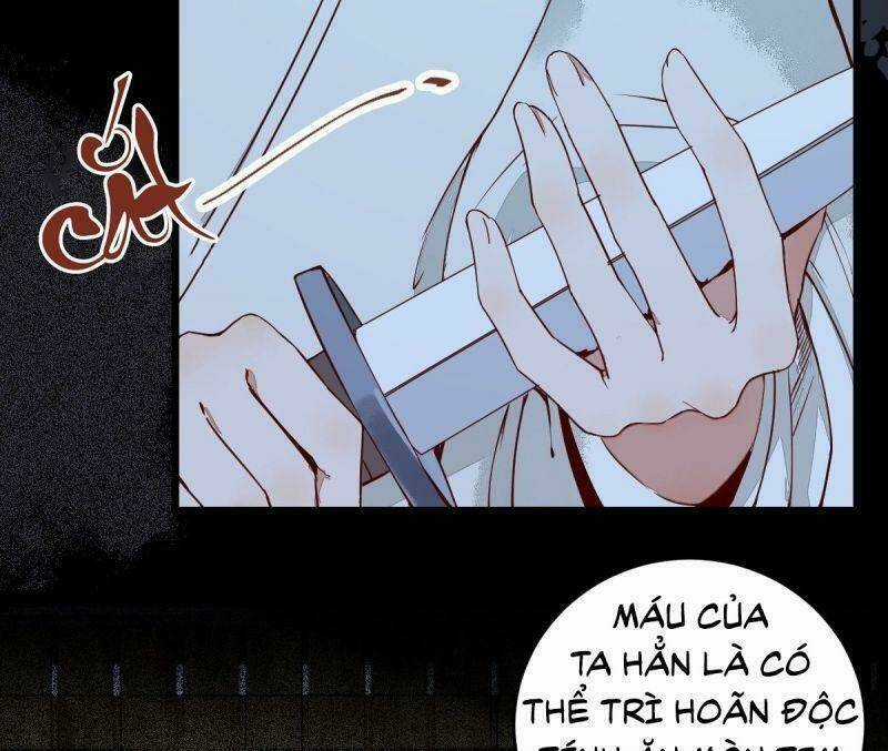 Sát Thủ Vương Phi Không Dễ Chọc - Chapter 19 - Trang 31