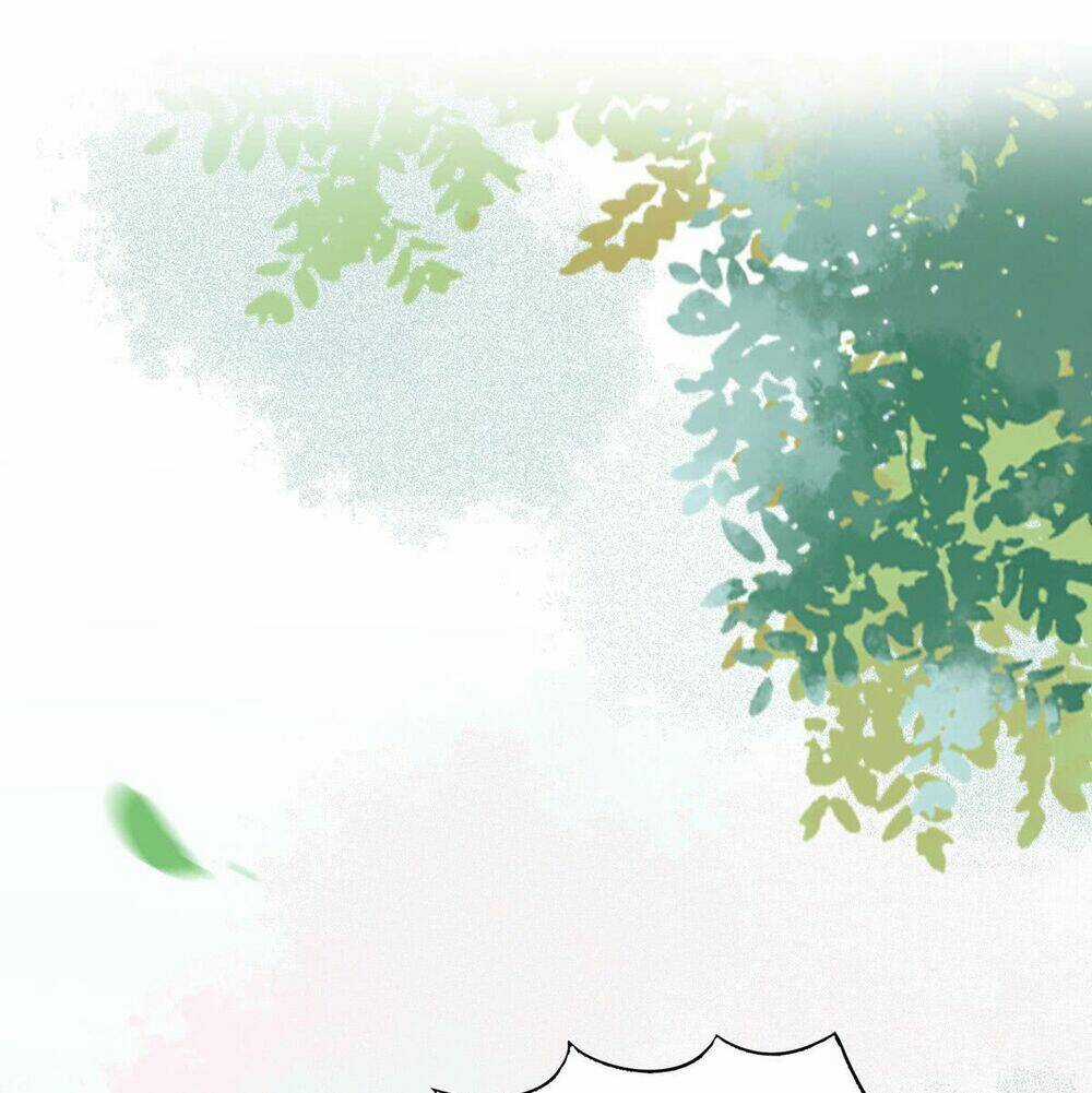 Sát Thủ Vương Phi Không Dễ Chọc - Chapter 2 - Trang 29