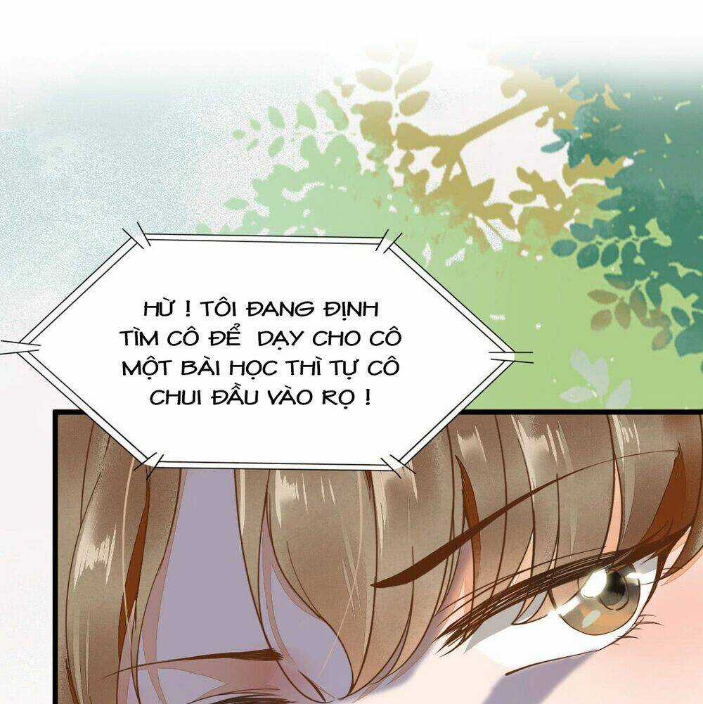 Sát Thủ Vương Phi Không Dễ Chọc - Chapter 2 - Trang 5