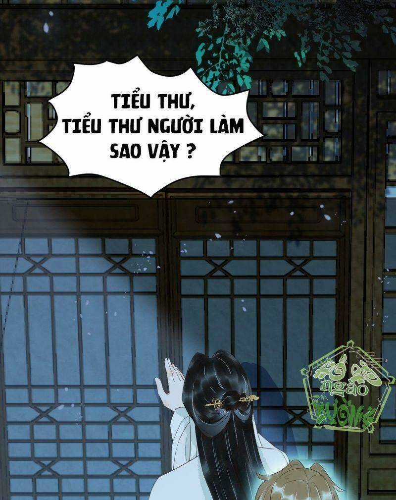 Sát Thủ Vương Phi Không Dễ Chọc - Chapter 20 - Trang 23