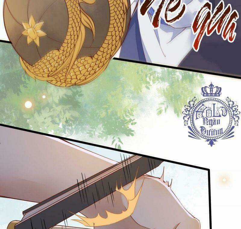 Sát Thủ Vương Phi Không Dễ Chọc - Chapter 24 - Trang 8