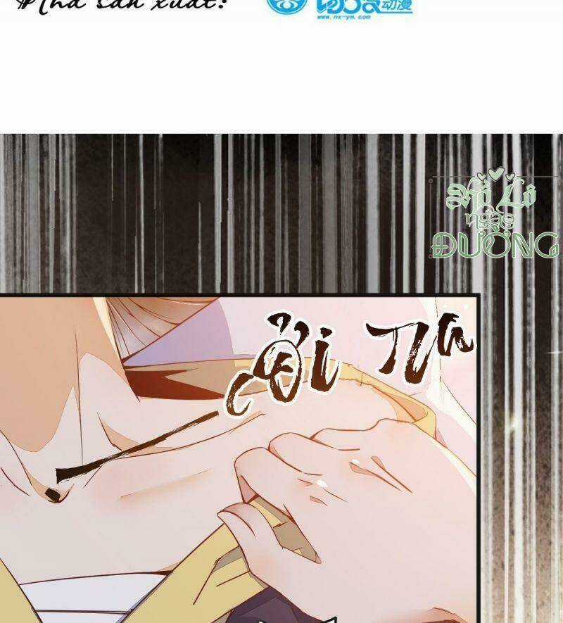 Sát Thủ Vương Phi Không Dễ Chọc - Chapter 26 - Trang 3