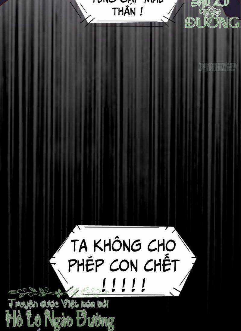 Sát Thủ Vương Phi Không Dễ Chọc - Chapter 28 - Trang 31