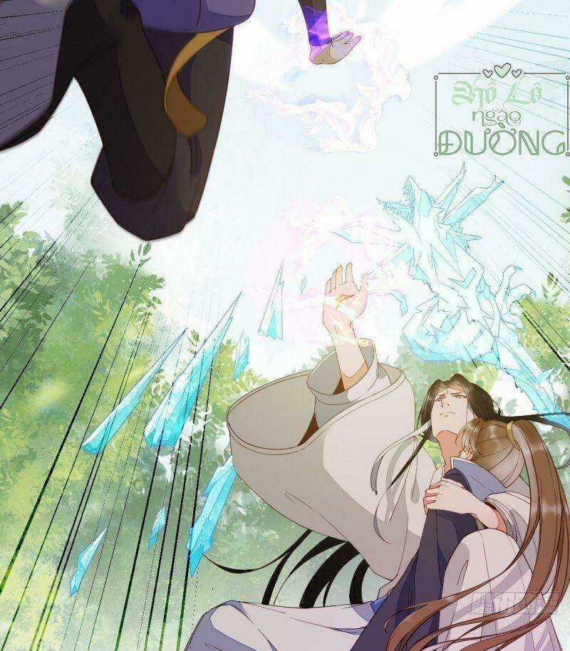 Sát Thủ Vương Phi Không Dễ Chọc - Chapter 29 - Trang 19