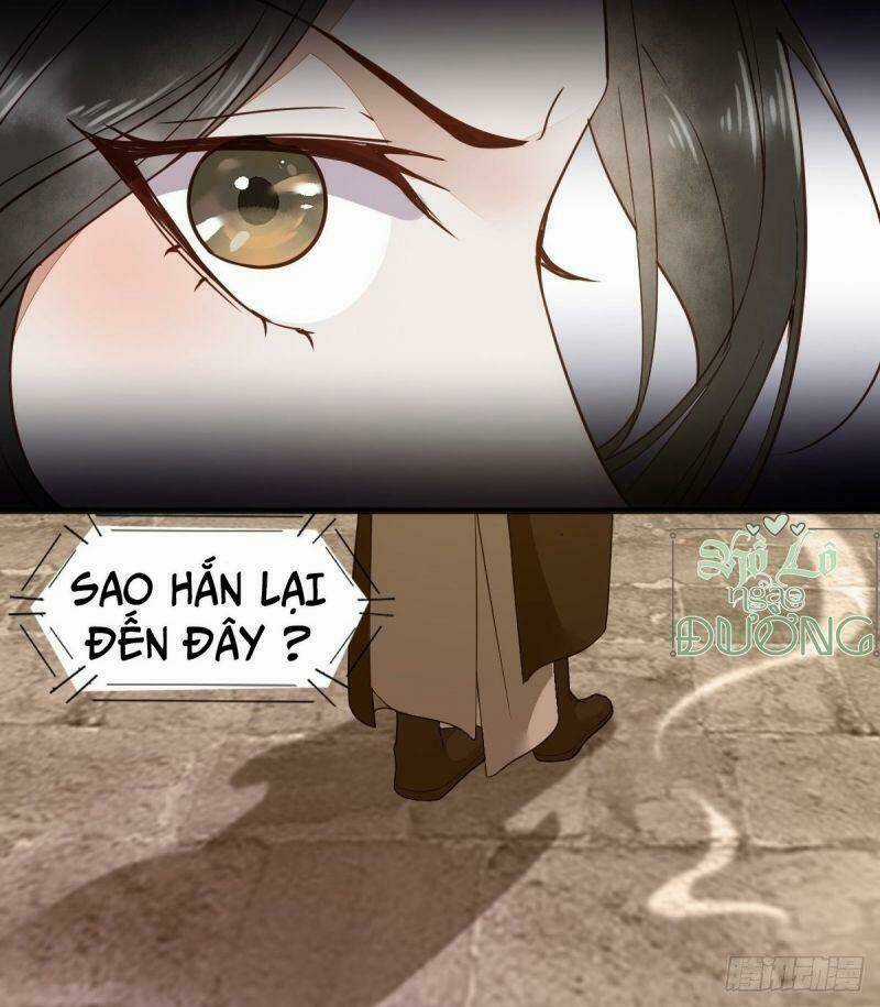 Sát Thủ Vương Phi Không Dễ Chọc - Chapter 29 - Trang 24