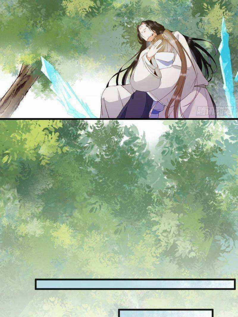 Sát Thủ Vương Phi Không Dễ Chọc - Chapter 29 - Trang 29