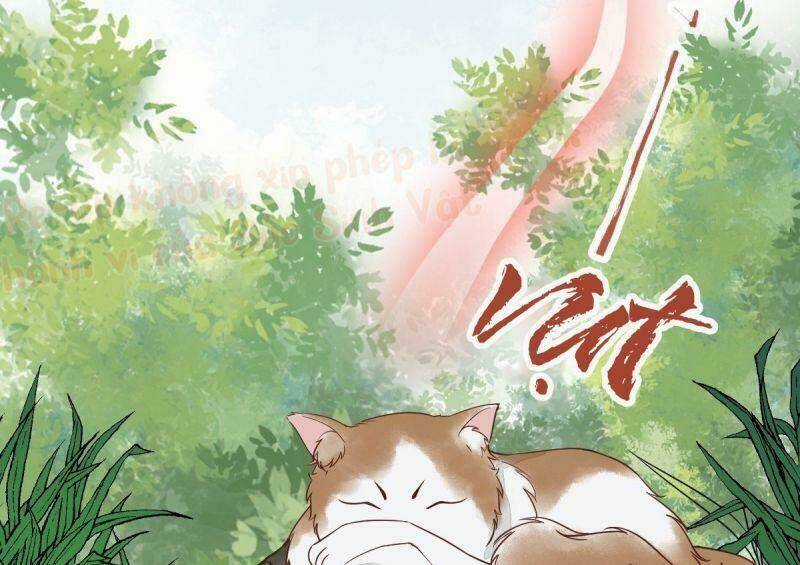 Sát Thủ Vương Phi Không Dễ Chọc - Chapter 29 - Trang 57