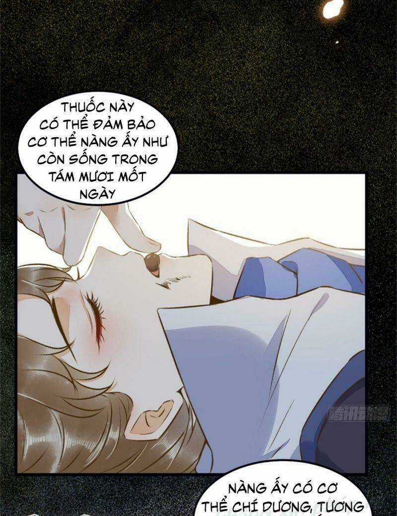 Sát Thủ Vương Phi Không Dễ Chọc - Chapter 30 - Trang 12