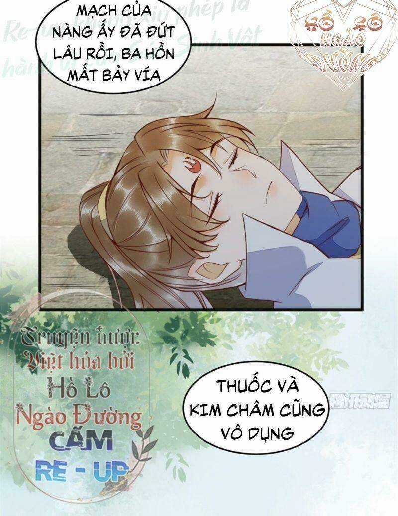 Sát Thủ Vương Phi Không Dễ Chọc - Chapter 30 - Trang 3