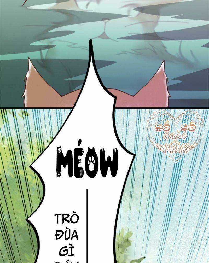 Sát Thủ Vương Phi Không Dễ Chọc - Chapter 30 - Trang 29