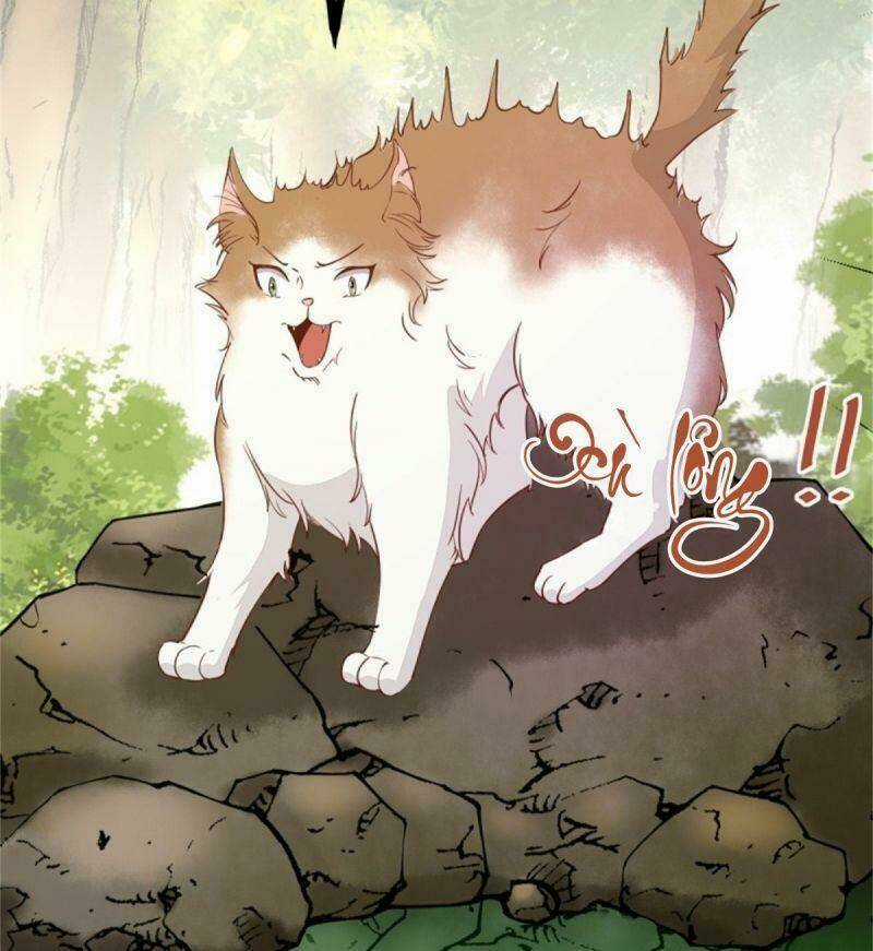 Sát Thủ Vương Phi Không Dễ Chọc - Chapter 30 - Trang 31