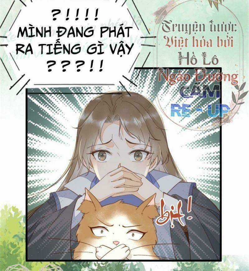 Sát Thủ Vương Phi Không Dễ Chọc - Chapter 30 - Trang 33