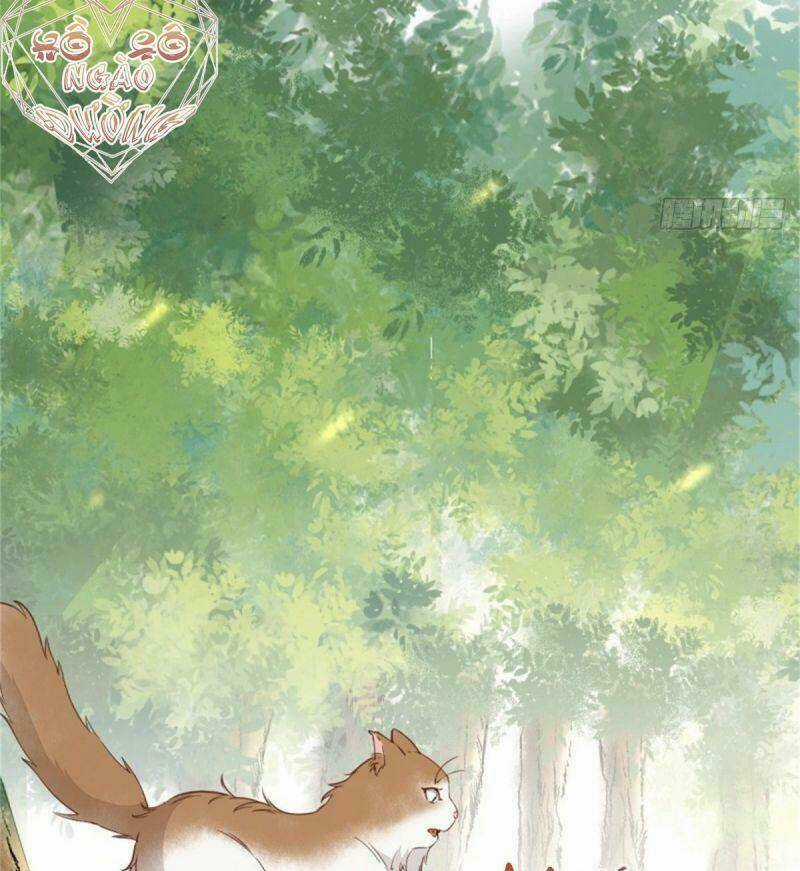 Sát Thủ Vương Phi Không Dễ Chọc - Chapter 30 - Trang 34