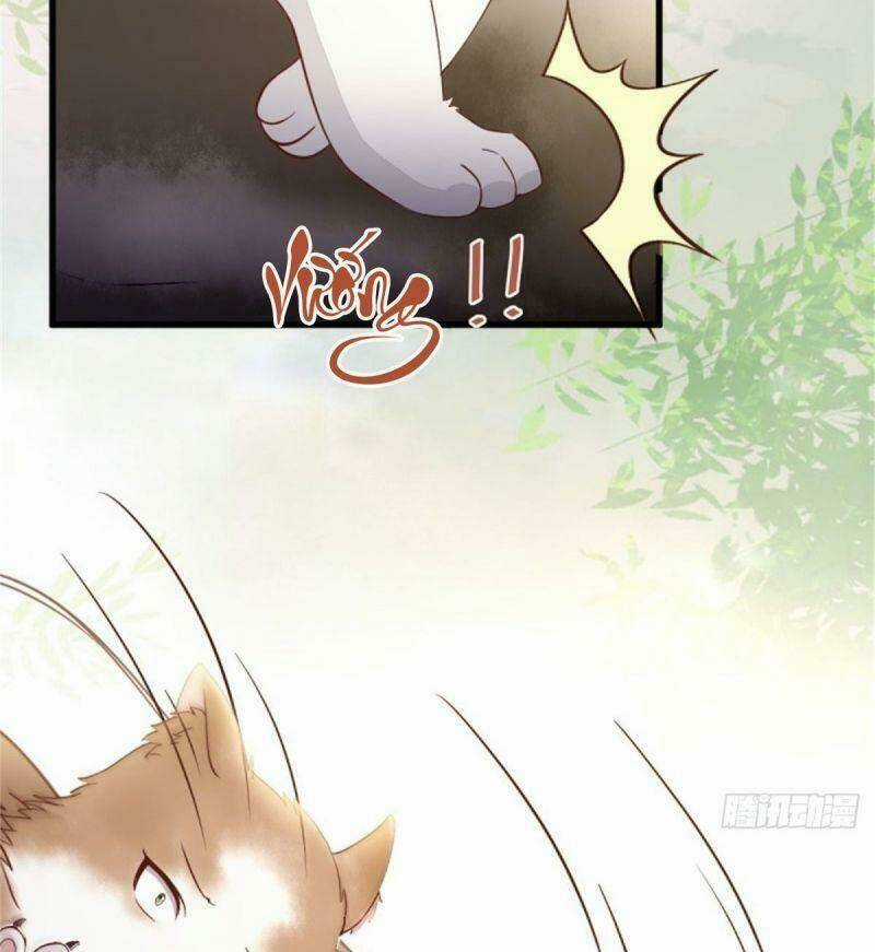 Sát Thủ Vương Phi Không Dễ Chọc - Chapter 30 - Trang 36