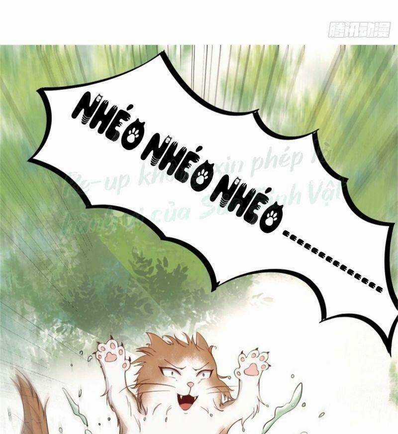 Sát Thủ Vương Phi Không Dễ Chọc - Chapter 30 - Trang 41