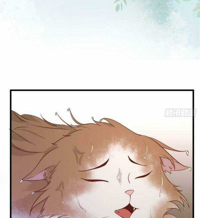 Sát Thủ Vương Phi Không Dễ Chọc - Chapter 30 - Trang 43