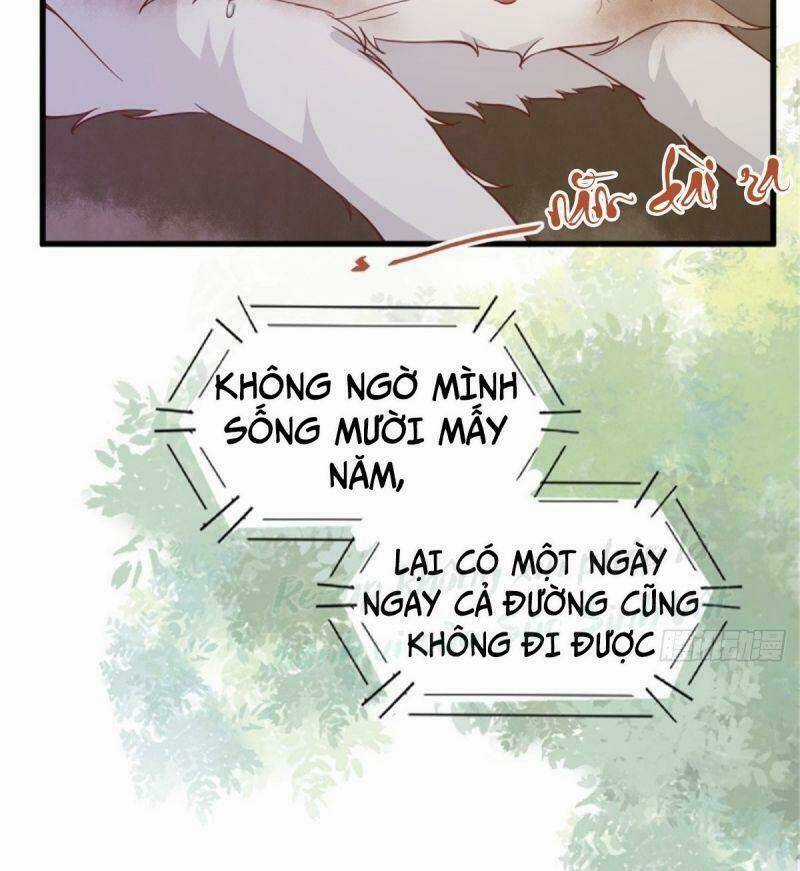 Sát Thủ Vương Phi Không Dễ Chọc - Chapter 30 - Trang 44