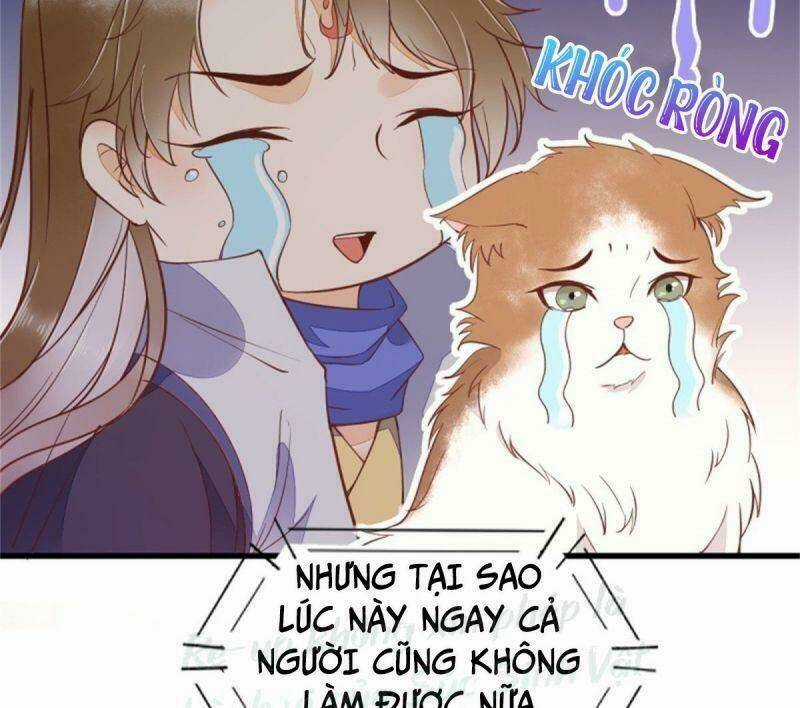 Sát Thủ Vương Phi Không Dễ Chọc - Chapter 30 - Trang 48