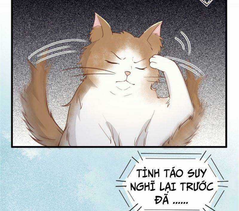 Sát Thủ Vương Phi Không Dễ Chọc - Chapter 30 - Trang 50