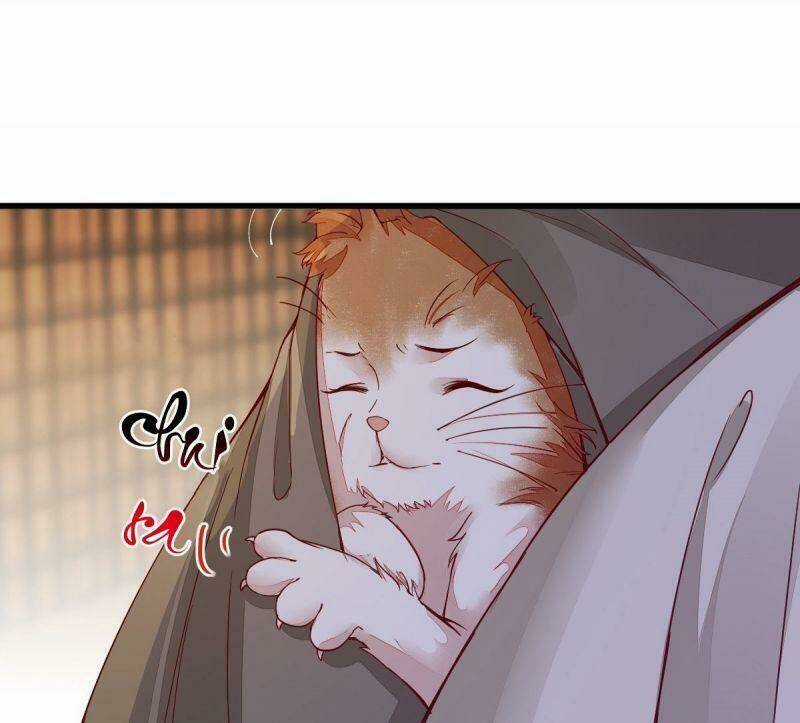 Sát Thủ Vương Phi Không Dễ Chọc - Chapter 31 - Trang 16