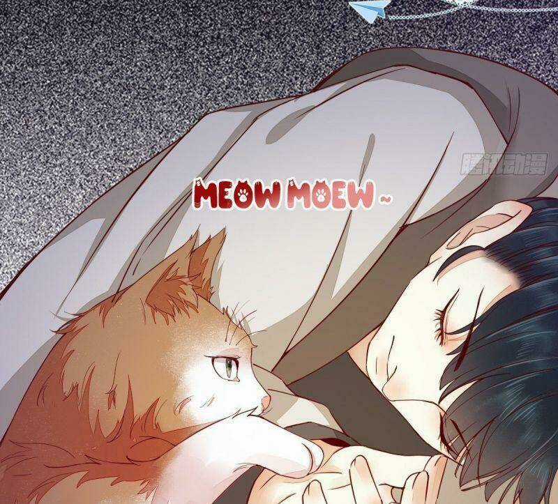 Sát Thủ Vương Phi Không Dễ Chọc - Chapter 31 - Trang 23