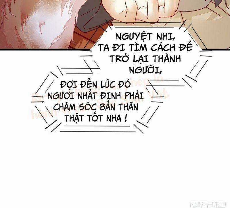 Sát Thủ Vương Phi Không Dễ Chọc - Chapter 31 - Trang 24