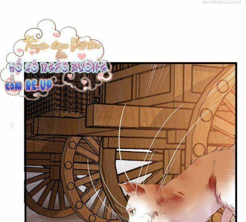 Sát Thủ Vương Phi Không Dễ Chọc - Chapter 31 - Trang 25