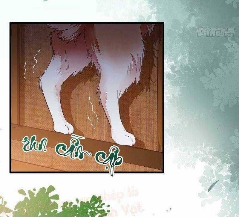 Sát Thủ Vương Phi Không Dễ Chọc - Chapter 31 - Trang 28