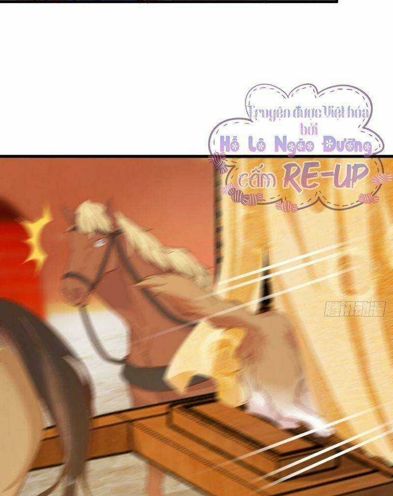 Sát Thủ Vương Phi Không Dễ Chọc - Chapter 32 - Trang 11