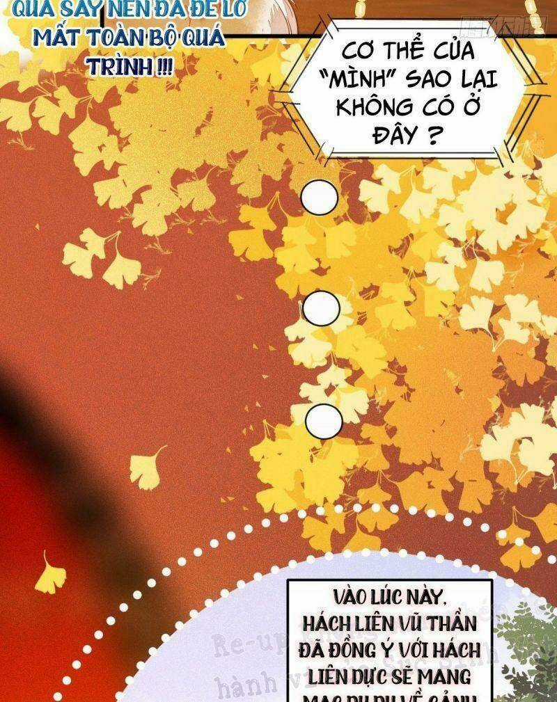 Sát Thủ Vương Phi Không Dễ Chọc - Chapter 32 - Trang 13