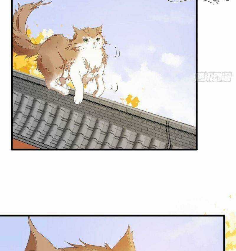 Sát Thủ Vương Phi Không Dễ Chọc - Chapter 32 - Trang 17