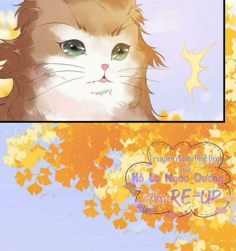 Sát Thủ Vương Phi Không Dễ Chọc - Chapter 32 - Trang 18