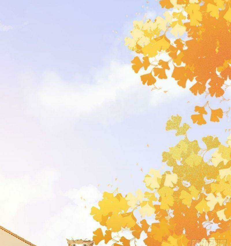 Sát Thủ Vương Phi Không Dễ Chọc - Chapter 32 - Trang 19