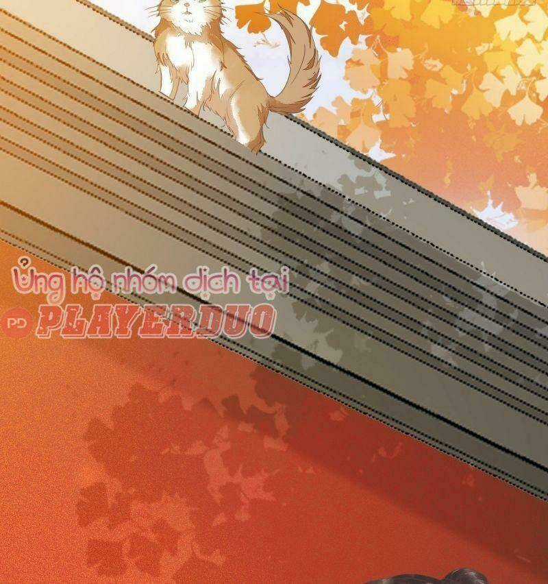 Sát Thủ Vương Phi Không Dễ Chọc - Chapter 32 - Trang 20