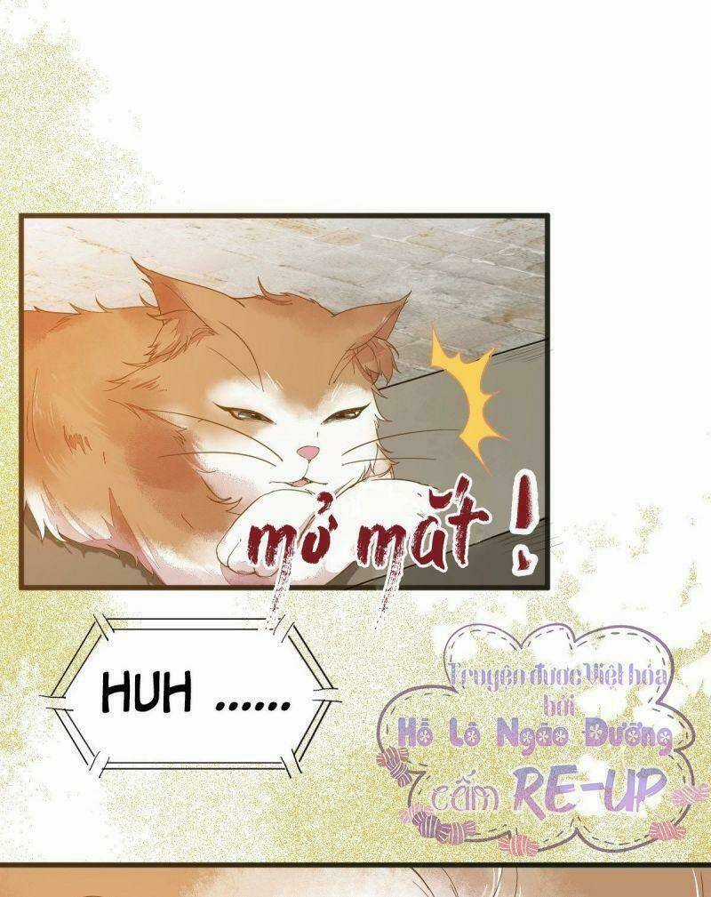 Sát Thủ Vương Phi Không Dễ Chọc - Chapter 32 - Trang 3