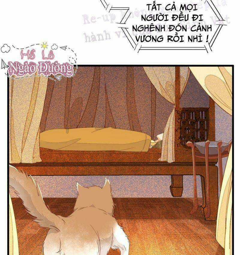 Sát Thủ Vương Phi Không Dễ Chọc - Chapter 32 - Trang 27