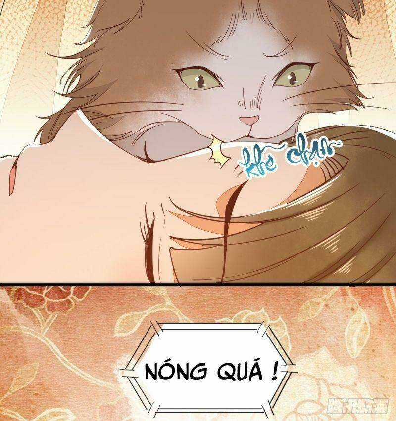 Sát Thủ Vương Phi Không Dễ Chọc - Chapter 32 - Trang 30