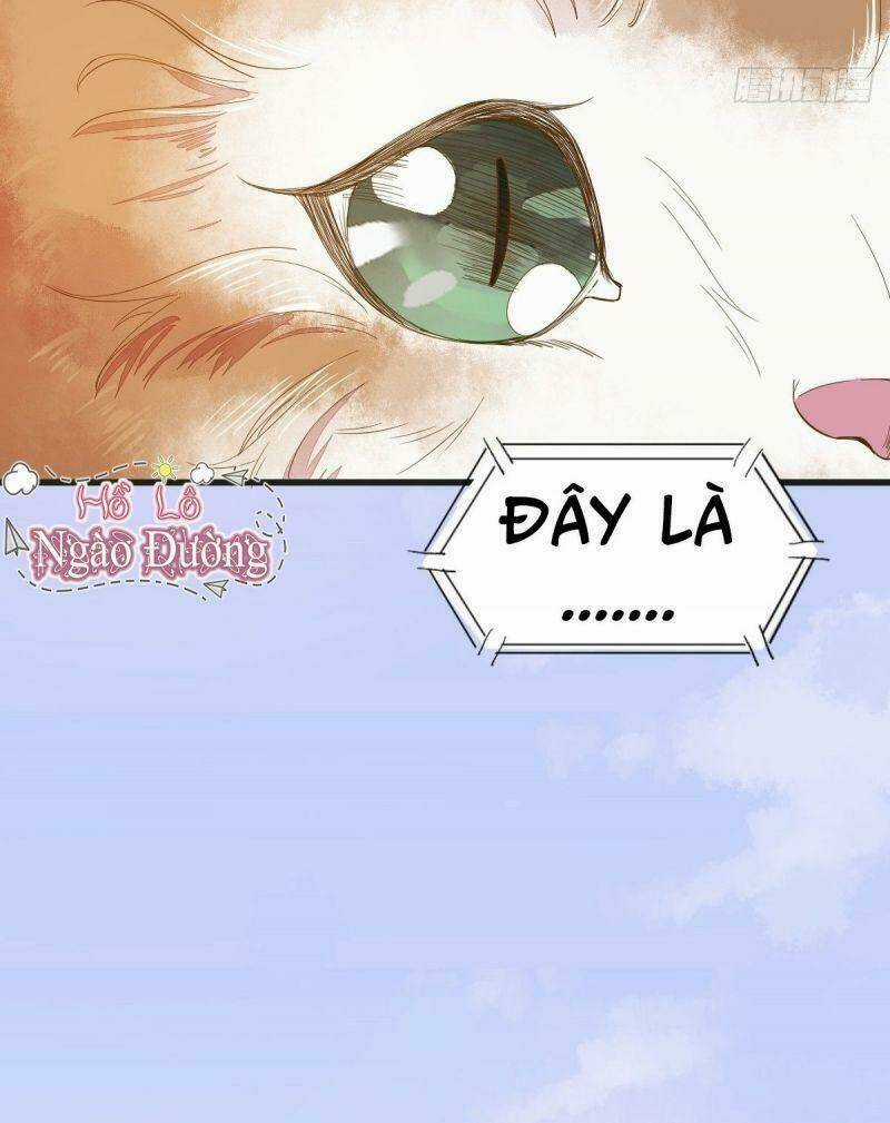 Sát Thủ Vương Phi Không Dễ Chọc - Chapter 32 - Trang 4