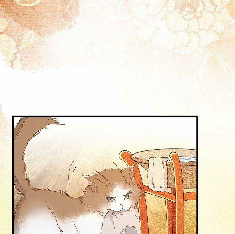 Sát Thủ Vương Phi Không Dễ Chọc - Chapter 32 - Trang 31