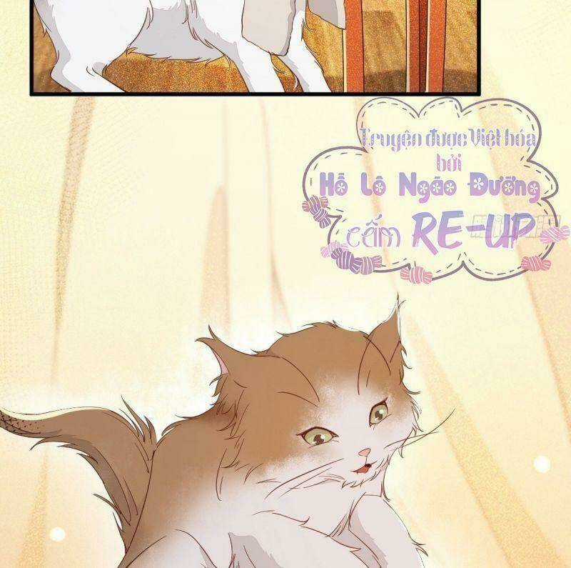 Sát Thủ Vương Phi Không Dễ Chọc - Chapter 32 - Trang 32